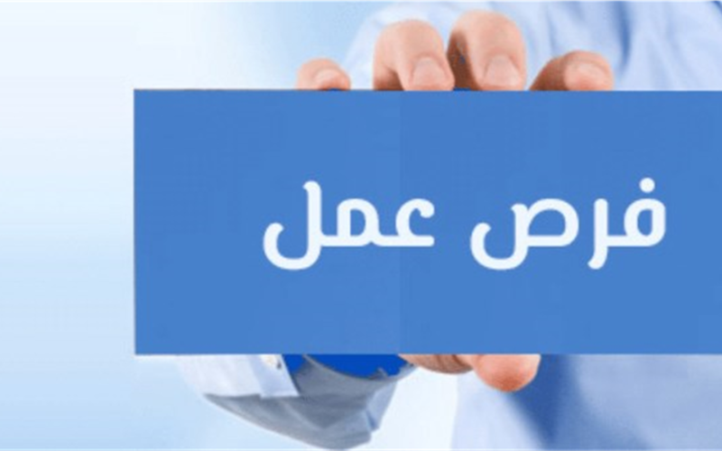 وزارة الشباب والرياضة تطرح فرص عمل برواتب مجزية وتأمينات للباحثين عن وظائف